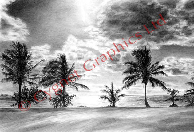 Black and white beach sunset - pencil drawing by Kelli Swan