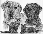 custom pencil portrait of dogs cats