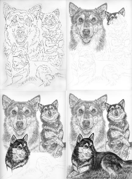Stages of a pencil portrait by kelli swan