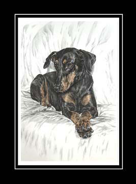 doberman natural ears print color