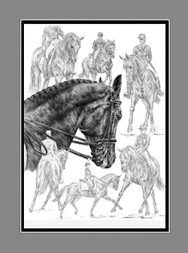 collected dressage horse print black white
