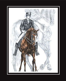 half pass dressage horse print color