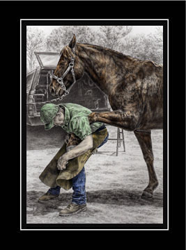 farrier and horse print color