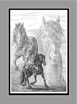 arabian horse print black white