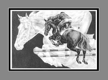 jumper horse print black white