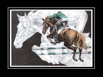jumper horse print color