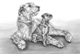 irish wolfhound note cards