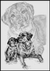 labrador puppy note card