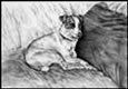 jack russell note card