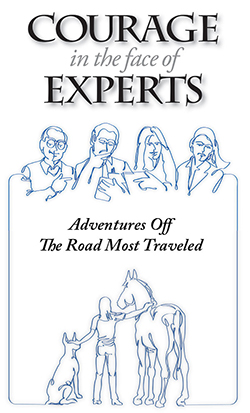 Courage in the Face of Experts by Kelli Swan