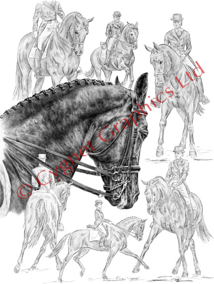 How to Draw a Horse Outline - Really Easy Drawing Tutorial